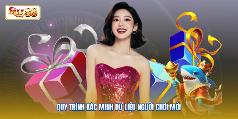 Quy trình xác minh dữ liệu người chơi mới